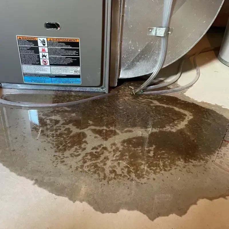 Appliance Leak Cleanup in Third Lake, IL